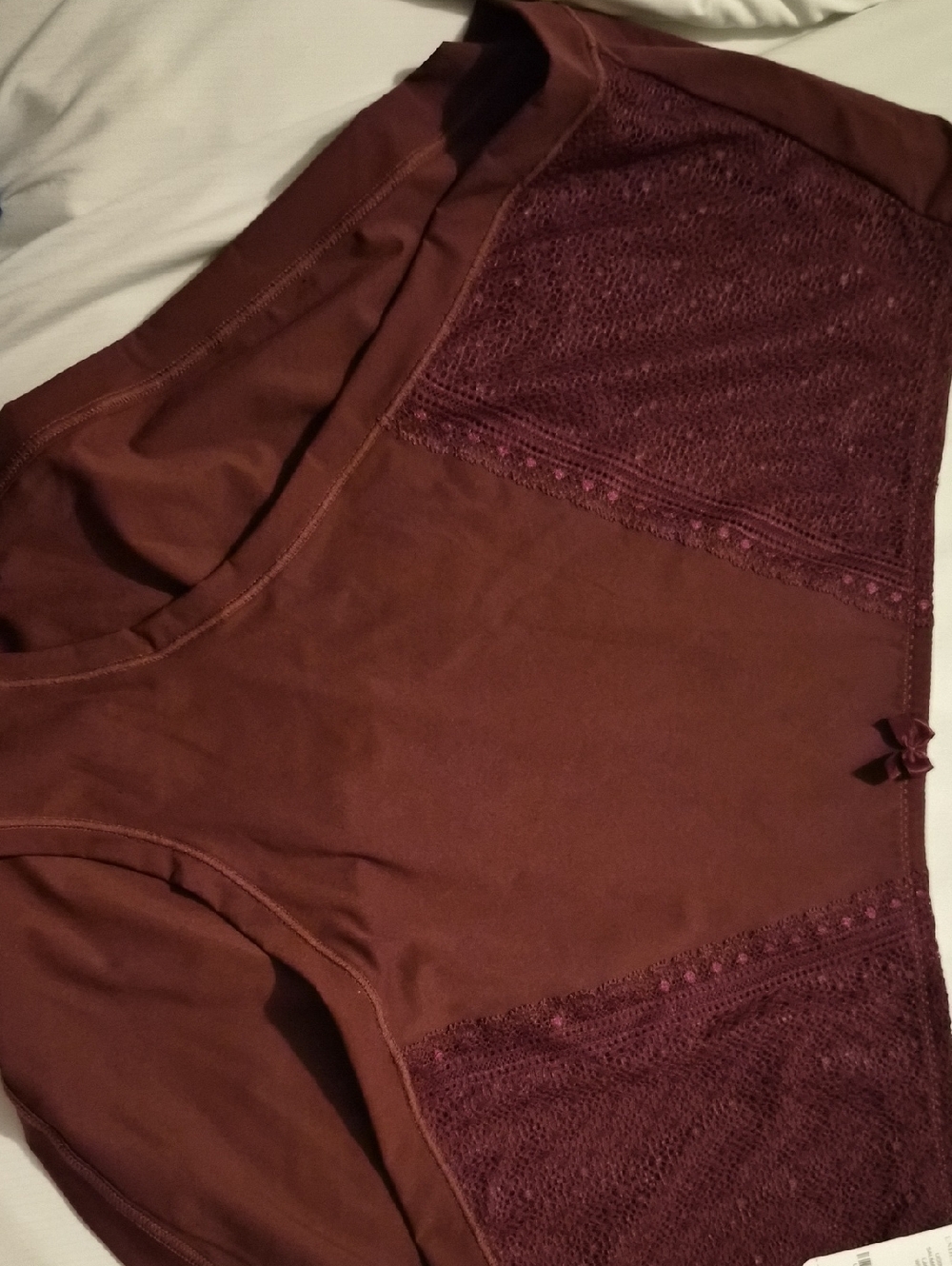 NWT Beautiful Lace Accent High-Waist Briefs